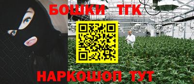 молекула духа Будённовск