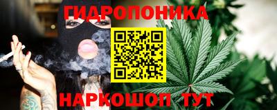 молекула духа Будённовск