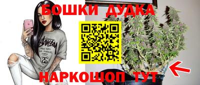 молекула духа Будённовск