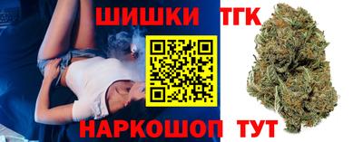 молекула духа Будённовск