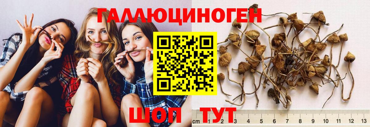 Псилоцибиновые грибы прущие грибы Саки