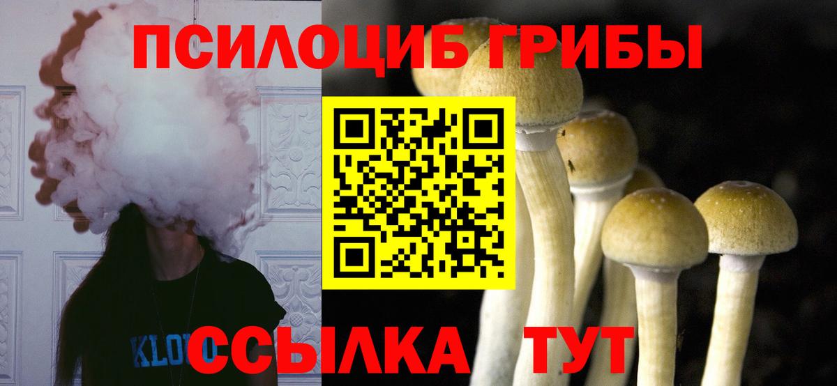 Псилоцибиновые грибы Cubensis  Вход с VPN  Галлюциногенные грибы Psilocybe  цена наркотик  Саки 